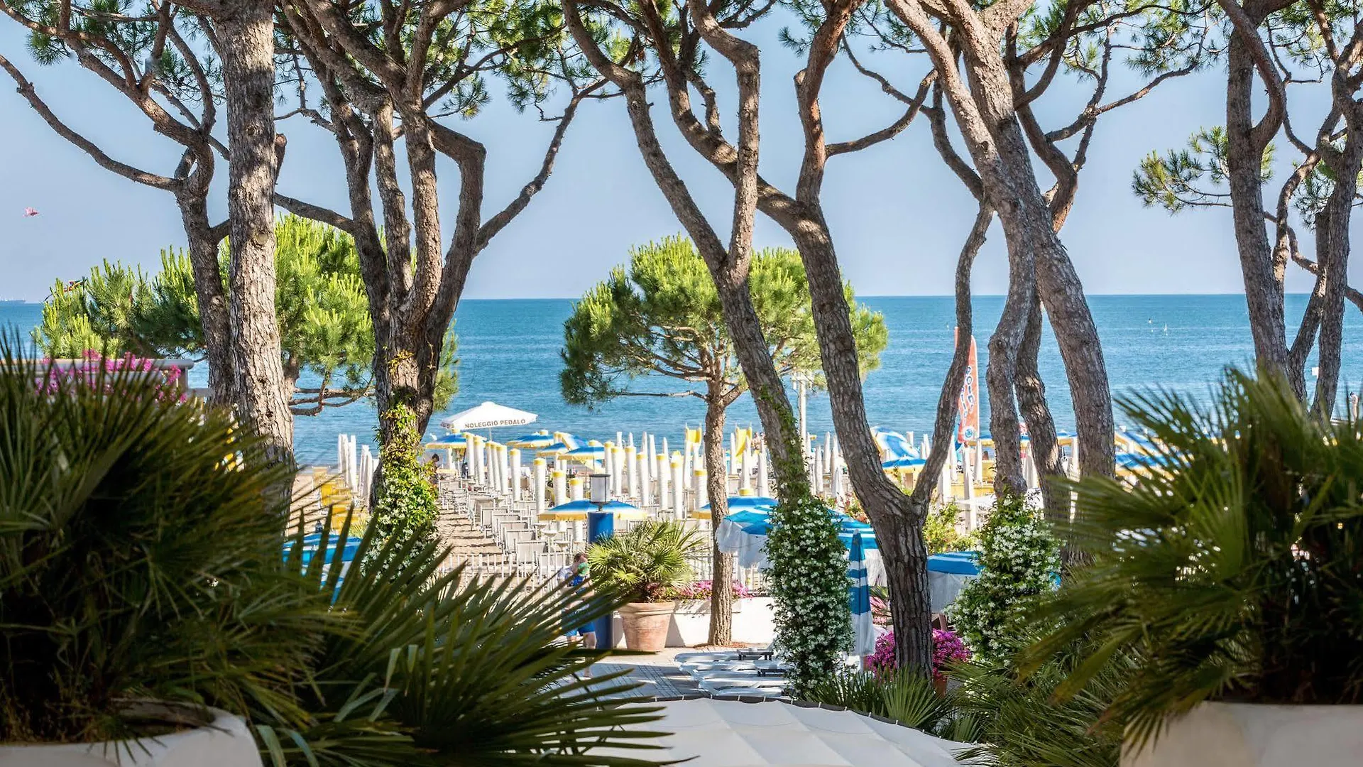 Hotel Excelsior Lido di Jesolo